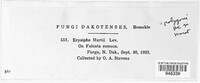 Erysiphe martii image